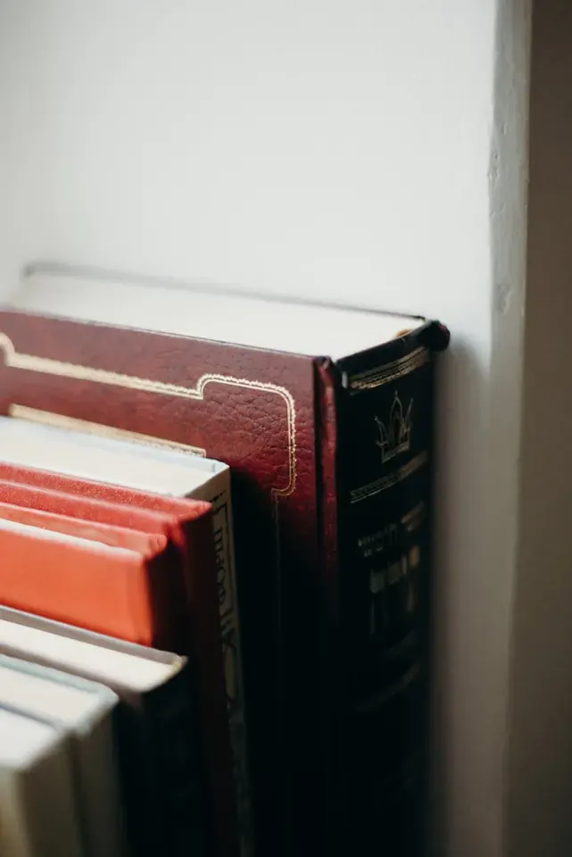 Что такое книги с pop-up элементами