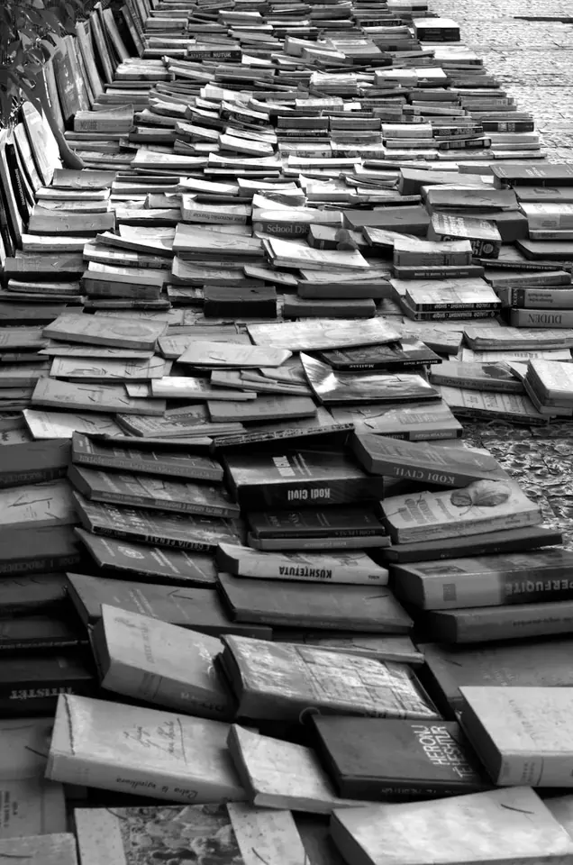 Иллюстраторы книг о дружбе и семье