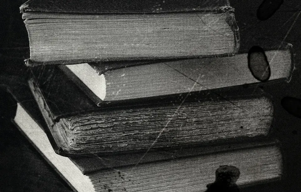 Иллюстраторы книг о животных: как визуальный образ формирует любовь к чтению