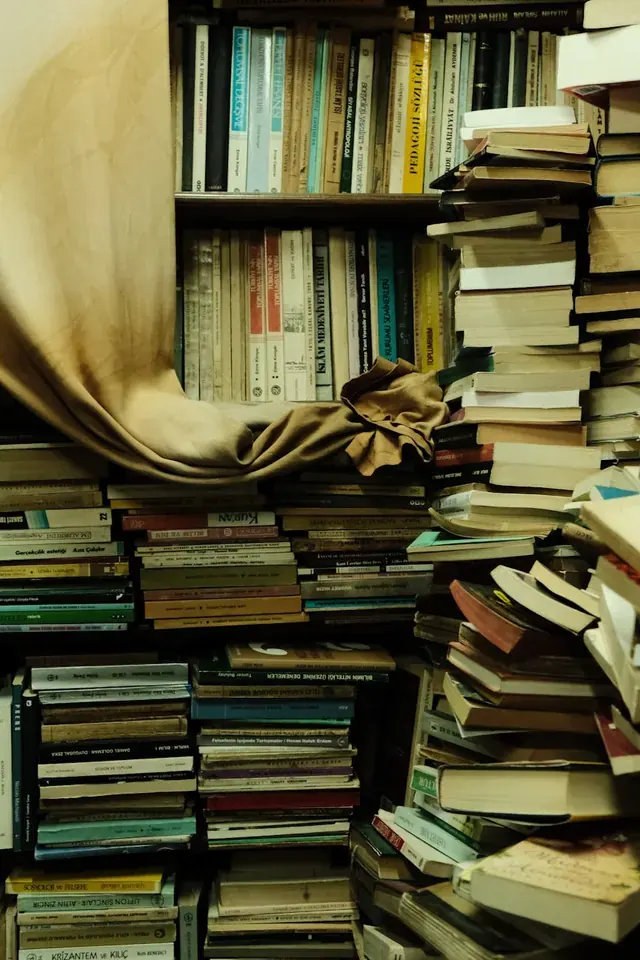 Иллюстраторы книг Сергея Белякова