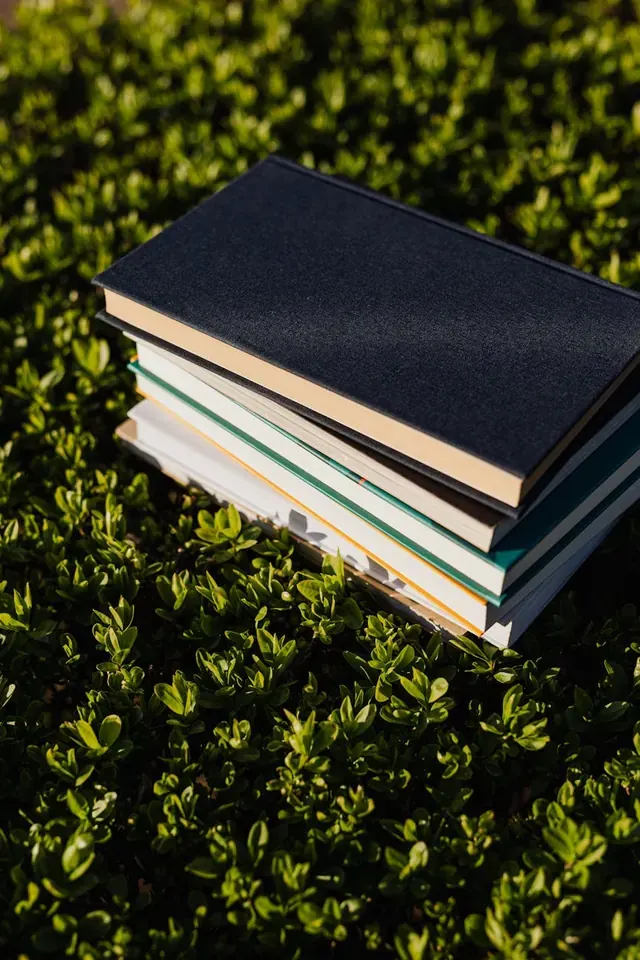 Иллюстраторы животных в детских книгах