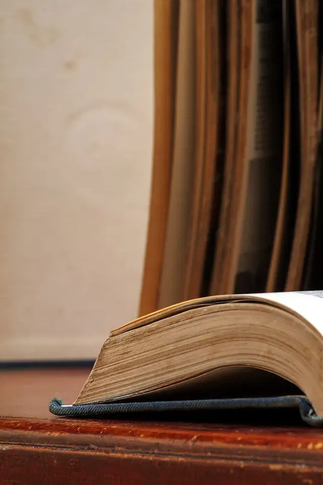Серии книг о дружбе и эмоциях: как чтение помогает ребёнку понимать себя и других