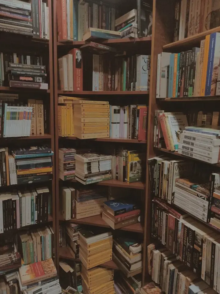 Серия книг про школу: гид по лучшим произведениям для детей и подростков